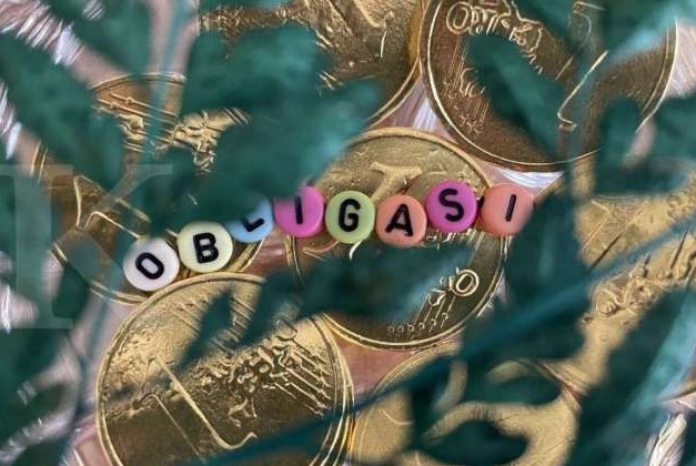 Mengupas Tuntas Pajak dan Kewajiban Fiskal dalam Dunia Investasi 3 Investasi Obligasi adalah